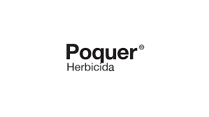 Poquer